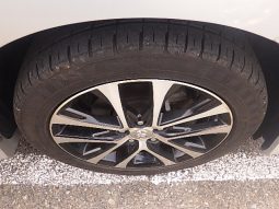Toyota Estima full