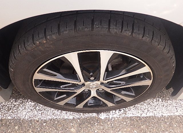 Toyota Estima full