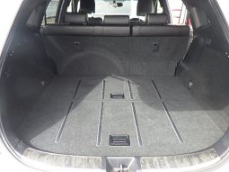 Toyota Harrier full